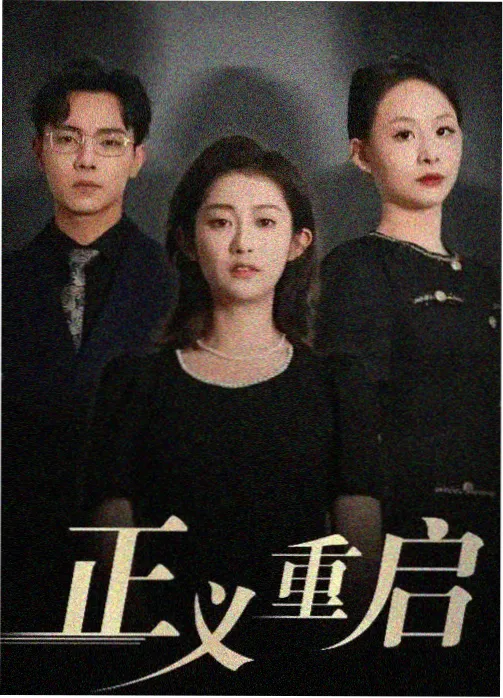 沉默的证词剧集封面
